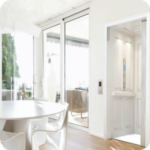 Professionel Villa Lille Bolig Elevator